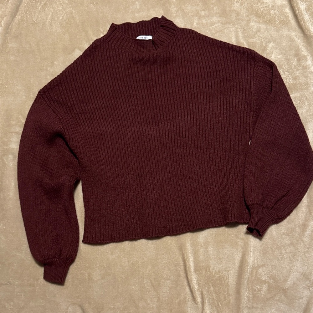 Naked Zebra Maroon Turtleneck Sweater